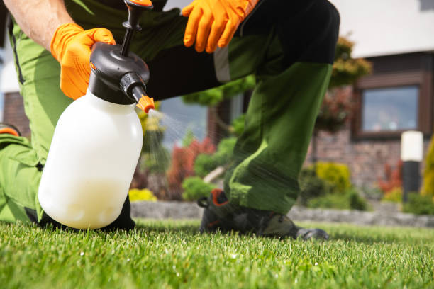 Best Cockroach Control Services  in Bisbee, AZ