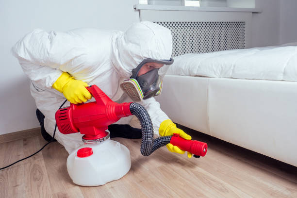 Best Pest Control Near Me in Bisbee, AZ