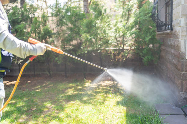 Best Flea Control Services  in Bisbee, AZ