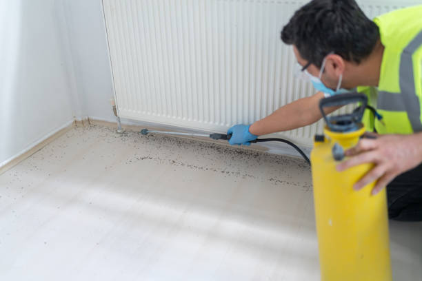 Pest Control Cost in Bisbee, AZ